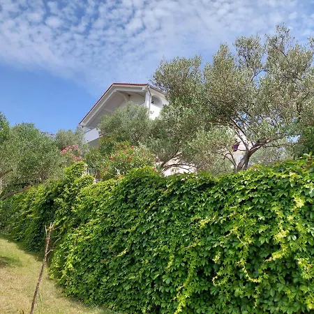 Apartment Zorka