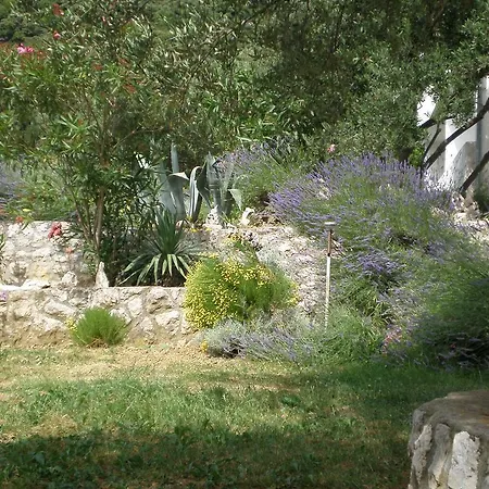 Zorka Διαμέρισμα