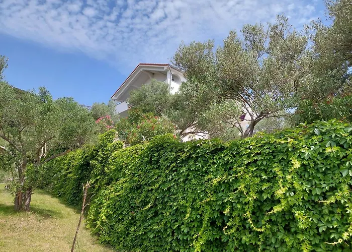 Apartament Zorka