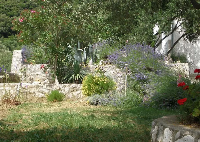 Zorka Apartament